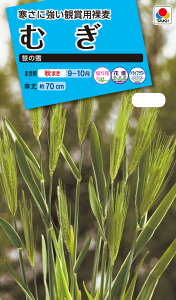 Ԏ@NL150 ނ ̐  [FZZ430]yԂ̎zy^LC̃^lzyK[fjOz