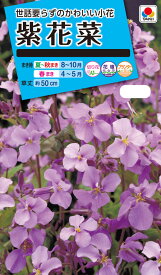 花種　NL150 紫花菜 [FZZ383]【花の種】【タキイのタネ】【ガーデニング】