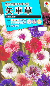 Ԏ@NL150 ԑ d獬  [FYG110]yԂ̎zy^LC̃^lzyK[fjOz