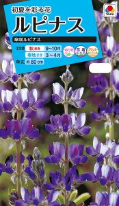 Ԏ@NL150 siX P烋siX  [FRP111]yԂ̎zy^LC̃^lzyK[fjOz