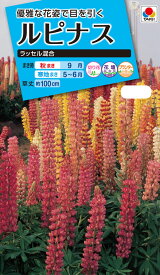 花種　 NL150 ルピナス ラッセル混合 [FRP139]【花の種】【タキイのタネ】【ガーデニング】