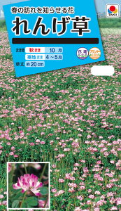 Ԏ@NL150 񂰑  [FZZ940]yԂ̎zy^LC̃^lzyK[fjOz