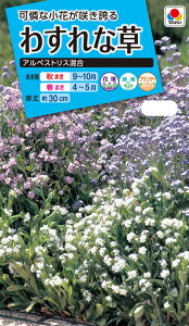 Ԏ@NL150 킷ȑ AyXgX  [FWS110]yԂ̎zy^LC̃^lzyK[fjOz