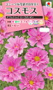 花種　NL300 コスモス ダブルクリック ローズボンボン 小袋 [FCS227]【花の種】【タキイのタネ】【ガーデニング】