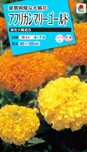 マリーゴールド 花 種の人気商品 通販 価格比較 価格 Com