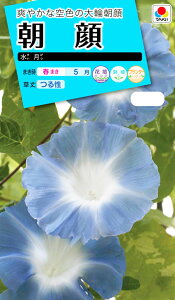 �Ԏ�@ ���{���� ���� ���� [FAA640]�y�Ԃ̎�z�y�^�L�C�̃^�l�z�y�K�[�f�j���O�z