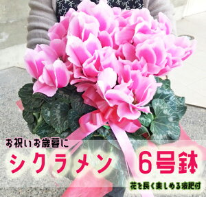 VN@6@tt@1@@yVNzyΕzyjz