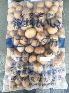 Ⴊq@L@jV^J@1kg@S~LTCY@i1kg/10jyzyiiρzyn鏒qz