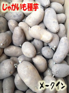 北海道産 じゃがいもの人気商品 通販 価格比較 価格 Com