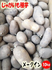 メークイン 種の人気商品 通販 価格比較 価格 Com