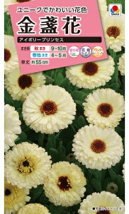 Ԏ@NL300 ᵉ AC{[vZX  [FKNA05]@yԂ̎zy^LC̃^lzyK[fjOz