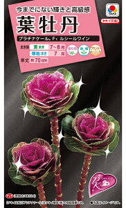 ԃ^l@ NL300 tO F1 V[C@ [FHB711]_ȓo^i@(i햼@TB524jyԂ̎zy^LC̃^lzyK[fjOz