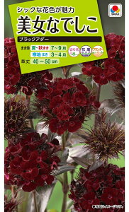 Ԏ@NL200 Ȃł ubNA_[  [FBNA02]yԂ̎zy^LC̃^lzyK[fjOz