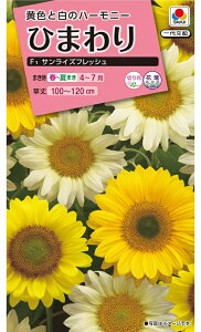 ひまわり 種の通販 価格比較 価格 Com