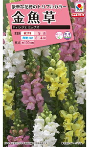 ԃ^l@NL300 @WF~bNX  [FKG600] yԂ̎zy^LC̃^lzyK[fjOz