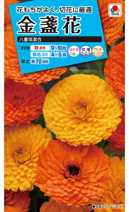 Ԏ NL150 ᵉ d獬  [FKN050]yԂ̎zy^LC̃^lzyK[fjOz