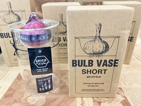 3色から選べるヒヤシンス球根セット　saw　バルブベース