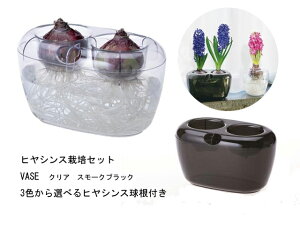 3FIׂ@qVX͔|Zbg@VASE_uiNA@X[NubNjyqVX͔|Lbgz