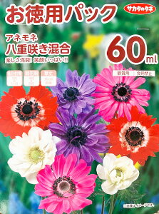 球根 アネモネの人気商品 通販 価格比較 価格 Com