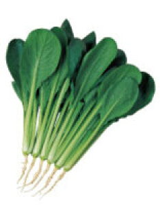 Ȃނ@؎q@2dl@y؎qzyTJ^̃^lz