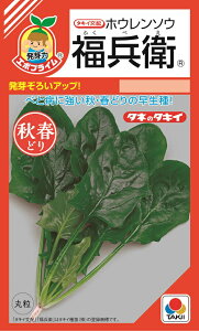 q@zE\Eq@@40ml@@G{vCy؎qzy^LCzzy@@̎z