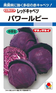 ԃLxc^l@p[r[@@0.9ml@y؎qz@y^LCczyLxc̎z