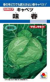 味春　キャベツ種子　1.2ml　極早生種　良質系【野菜種子】【タキイ種苗】