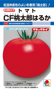 CFY͂邩@ʃg}gq@16@_ȓo^i(i햼@TTM017)@yg}gzy^LC̃^lzy؂̎z