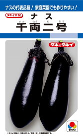 千両2号　50粒　長卵形なす種子　【ナス種】【タキイのタネ】【野菜の種】