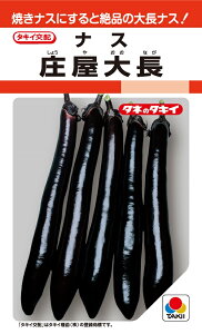 庄屋大長 27粒 小袋 大長なす種子 【ナス種】【タキイのタネ】【野菜の種】