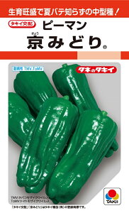 ݂ǂs[}@30@ys[}zy^LC̃^lzy؂̎z