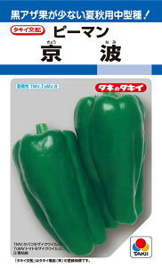 gs[}@45@ys[}zy^LC̃^lzy؂̎z