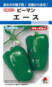 G[Xs[}@60@ys[}zy^LC̃^lzy؂̎z