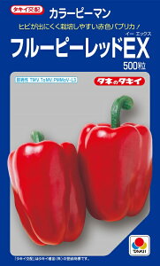 t[s[bhEX@J[s[}@500@s[}q@ys[}zy^LC̃^lzy؂̎z