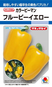 t[s[CG[@27@yJ[s[}zy^LC̃^lzy؂̎zpvJ