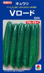 ^LC@V[h@350@イ@_ȓo^i(i햼@V[h)yLE̎zy؂̎z