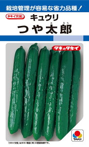 ⑾Y@15@イyLE̎zy^LC̃^lzy؂̎z