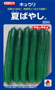 Ă΂₵@350@イyLE̎zy^LC̃^lzy؂̎z