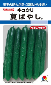 Ă΂₵@15@イyLE̎zy^LC̃^lzy؂̎z