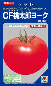 CFY[N@ʃg}gq@1000@yg}gzy^LC̃^lzy؂̎z