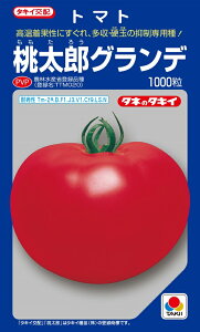 YOf@ʃg}gq@1000@_ȓo^i(i햼@TTM020)yg}gzy^LC̃^lzy؂̎z