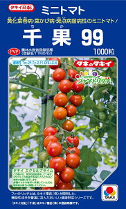 99@~jg}g@1000@_ȓo^i(i햼@TTM042)yg}gzy^LC̃^lzy؂̎z