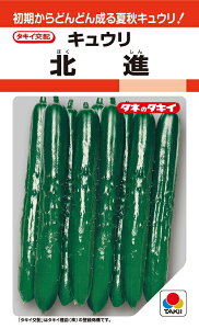 ki@LE@11@yイzy^LC̃^lzy؂̎z