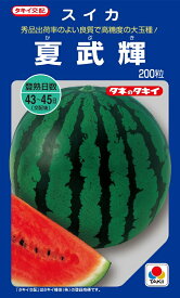 夏武輝　200粒　西瓜種子【スイカ種】【タキイのタネ】【野菜の種】