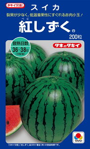 g@200@ZqyXCJzy^LC̃^lzy؂̎z