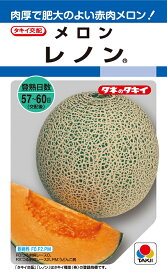 メロン種子　レノン　6粒　【タキイのタネ】【野菜の種】