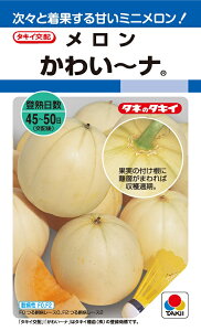 q@킢`ȁ@8@y^LC̃^lzy؂̎z