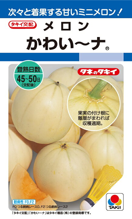 楽天市場 メロン種子 かわい な 8粒 タキイのタネ 野菜の種 吉谷農芸 楽天市場店