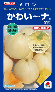 q@킢`ȁ@100@y^LC̃^lzy؂̎z