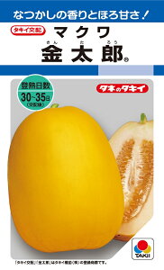 i܂키jq@Y@60@y^LC̃^lzy؂̎z